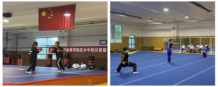 球速体育APP下载图片